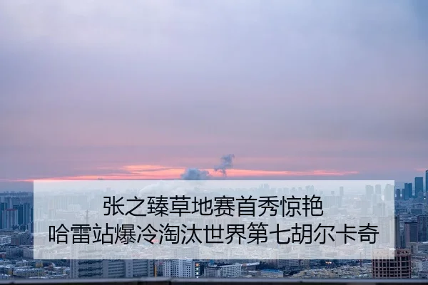 张之臻草地赛首秀惊艳 哈雷站爆冷淘汰世界第七胡尔卡奇